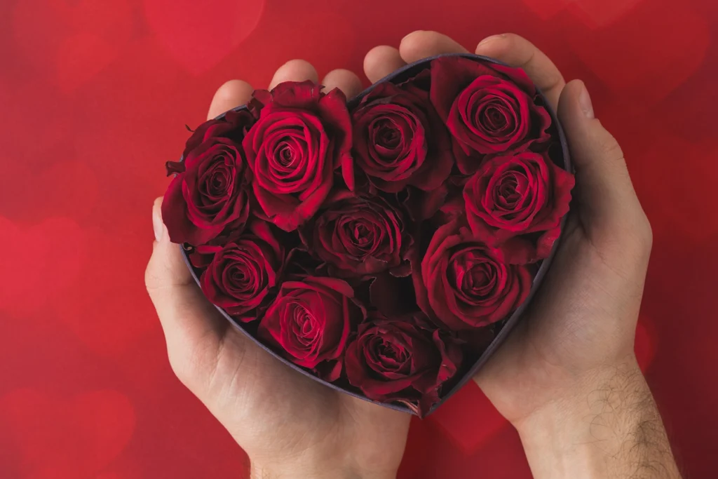 How Much the Heart Can Hold Image